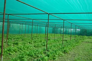 Shade Nets in Pune